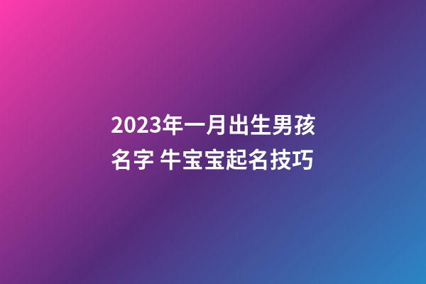 2023年一月出生男孩名字 牛宝宝起名技巧